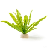 Exo Terra Plant